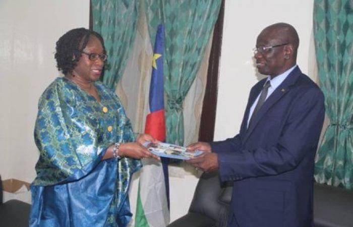 Burkinabè Dr. Irène Ouoba tritt in Bangui ihr Amt als FAO-Vertreterin an