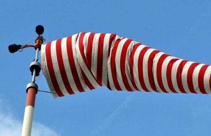 Mehr als drei Abteilungen waren diesen Montag in Alarmbereitschaft: Nachrichten