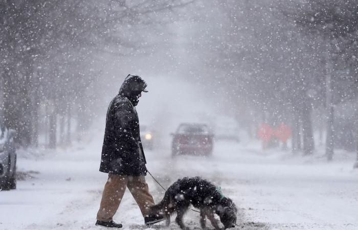 Starker Schneefall sorgt für Störungen in ganz Europa, die USA bereiten sich auf starken Schneefall vor