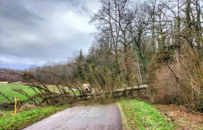 Bäume liegen auf den Straßen rund um Colombey