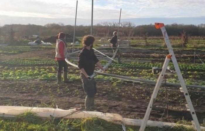 Nach dem Sturm der Hilferuf für einen Biobauernhof in der Loire-Atlantique