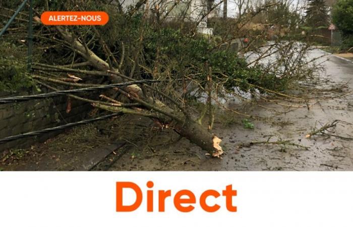 Als in Beloil ein Baum auf ein Auto stürzt, sind die beiden Insassen in ernstem Zustand