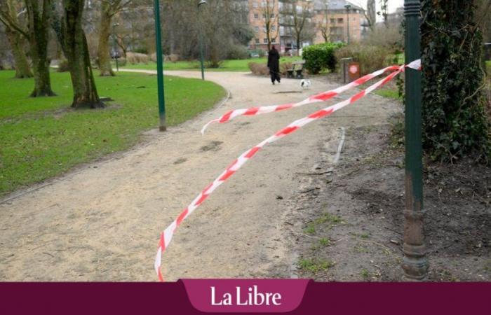 LIVE – Belgien von heftigen Winden betroffen: Schilder fallen auf Place De Brouckère, Schäden an mehreren Stellen beobachtet