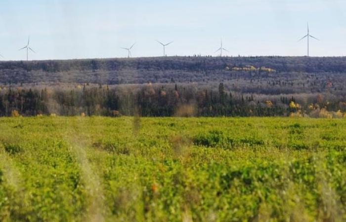 Bas-Saint-Laurent, das nächste Klondike der Windenergie in Quebec?