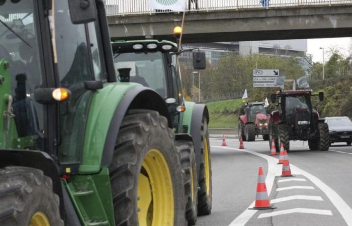 Landwirte von der ländlichen Koordinierung wütend