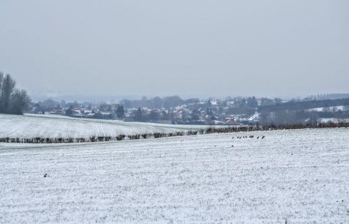 Wetterbericht. Wie ist das Wetter in Hauts-de-France an diesem Montag, den 6. Januar 2025?