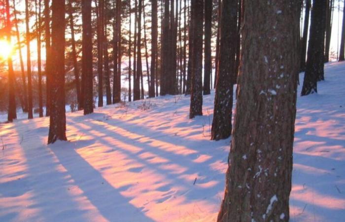 Schneegefahr im Norden am Mittwoch und Donnerstag: Unsicherheiten über die Lage