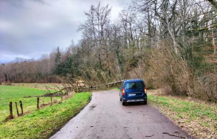 Bäume liegen auf den Straßen rund um Colombey