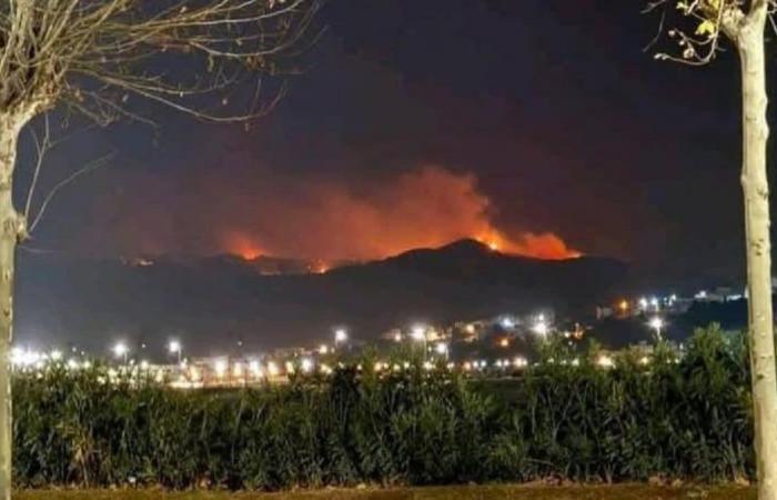 Waldbrand in Moklata unter Kontrolle gebracht