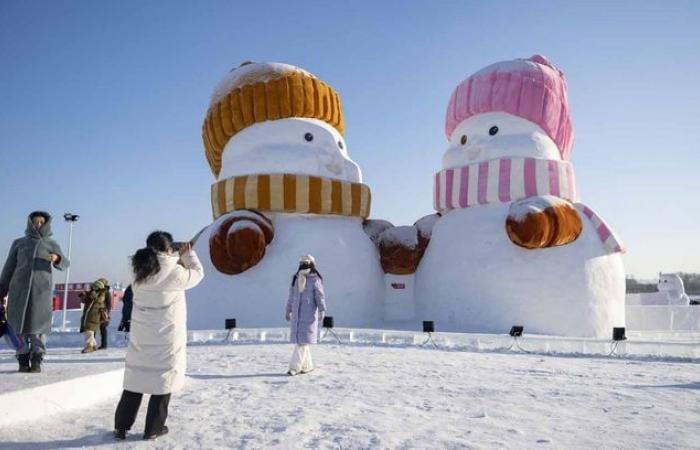 Die Schneekönigin im echten Leben … Sehen Sie die Dingo-Skulpturen beim Harbin Ice Festival, China