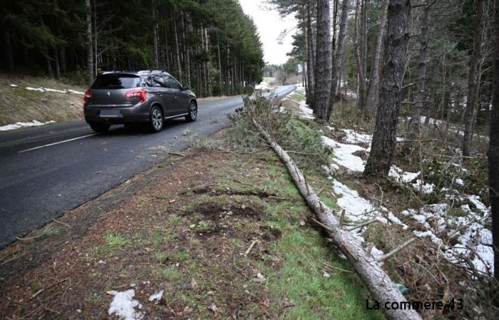 Windböen über 100 oder sogar 110 km/h in der Haute-Loire