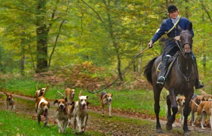 Ein Verein prangert die Praxis der Jagd mit Hunden auf seinem Land an: Nachrichten