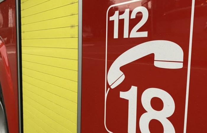 Feuerwehrleute suchen einen Bewohner