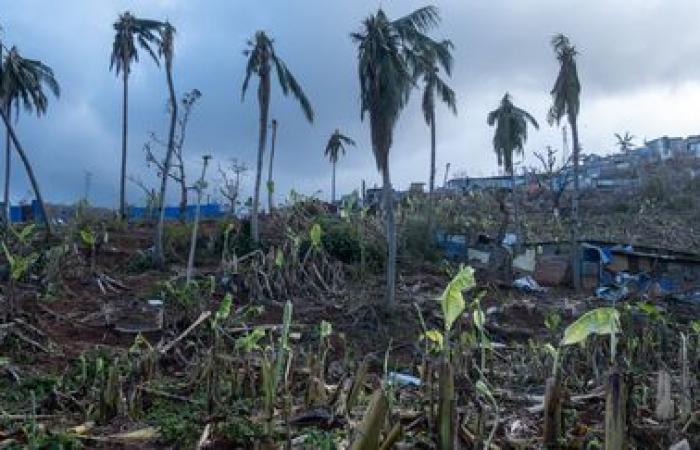 Wie ist die Umweltbewertung der Schäden in Mayotte drei Wochen nach dem Zyklon?