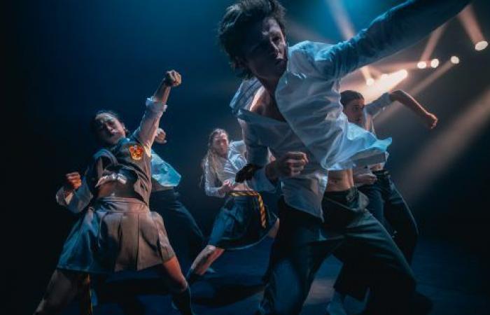 Ein Sessel für das Orchester – Die Website für Pariser Theaterkritiken » Aus England mit Liebe, Choreografie und Musik von Hofesh Shechter, im Théâtre de la Ville / Les Abbesses