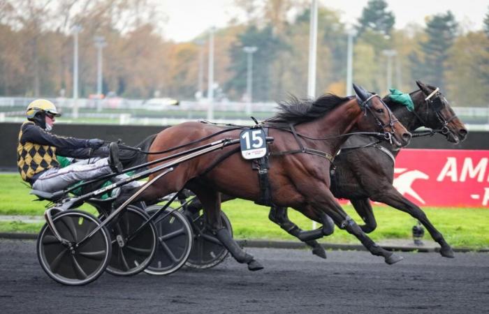 Die drei Favoriten für den Prix d’Amérique 2025 fehlen beim Prix de Belgique