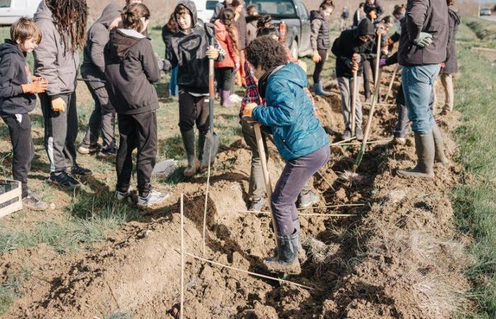 Wie der 1. Plantathlon in Aude 200 Teilnehmer anziehen wird