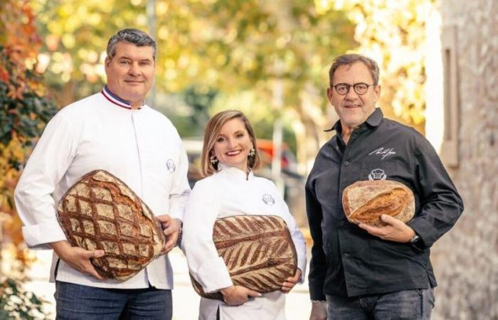 Welche Punktzahl für den Start der 12. Staffel von „Die beste Bäckerei Frankreichs“ auf M6?