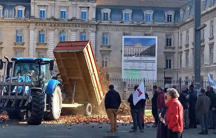 Für die Winzer der Côtes du Rhône war es ein turbulentes Jahr, das nichts veränderte