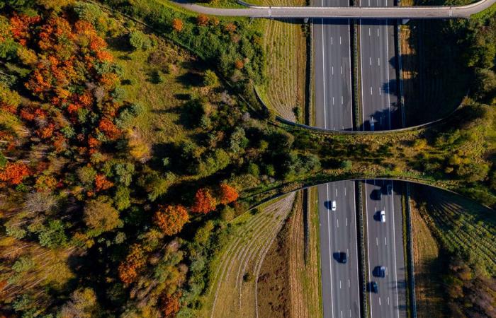 Seit dem 1. Januar sind die Preise dieser Autobahn in Frankreich stark gestiegen