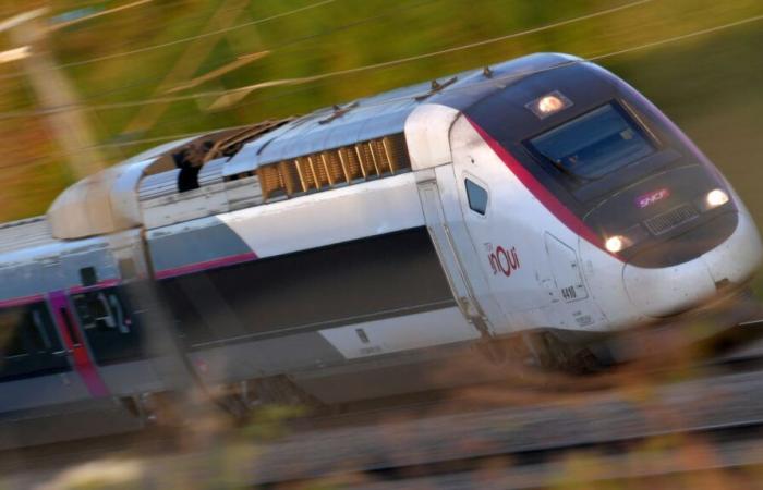 Die Fahrkarten für die TGV-Züge Inoui und Ouigo werden ab dem 8. Januar um durchschnittlich 1,5 % erhöht