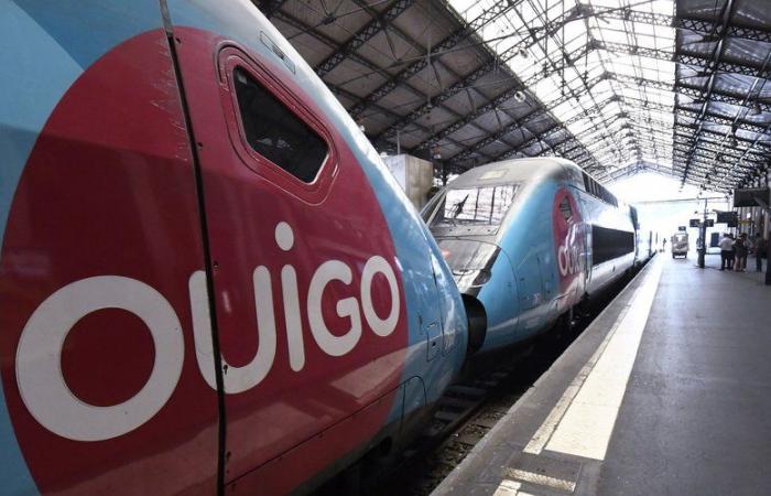 SNCF-Gewerkschaften prangern den Zustand der Ouigo TGV-Züge an und nennen sie „Wracks“