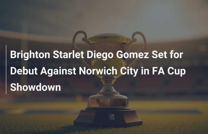 Der junge Brighton-Nachwuchsspieler Diego Gomez wird im FA Cup gegen Norwich City sein Debüt geben