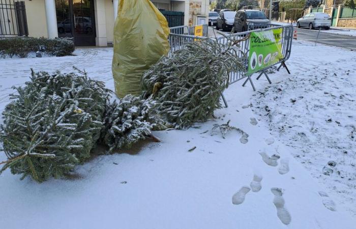 alle Termine im Stadtgebiet