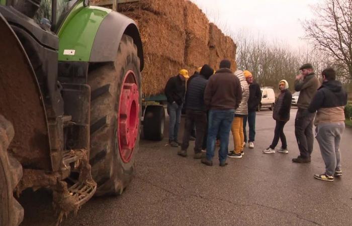 Wut der Bauern, Straßenblockaden … Was erwartet uns in der Normandie?