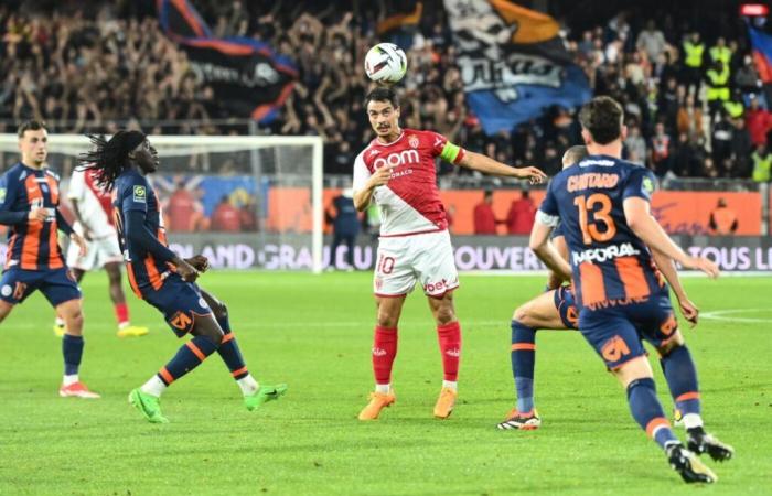 weder Tatsache noch Geschäft – Frankreich – Montpellier HSC