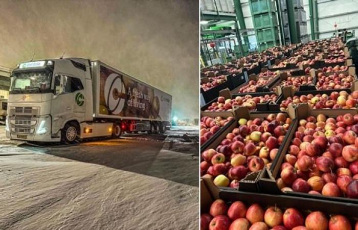 „Dass ein reduziertes Angebot automatisch zu einem Preisanstieg führt, ist nicht mehr selbstverständlich“