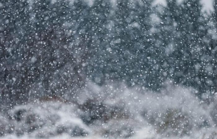 Schneewarnung für Zentral-NY ausgegeben, da eine weitere Runde von Seeeffekten eintritt