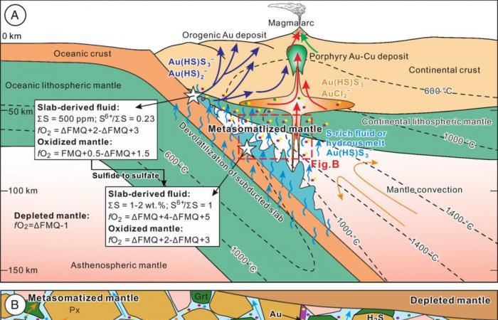 Forscher entdecken, wo und wie Gold an die Erdoberfläche gelangt ⛏️