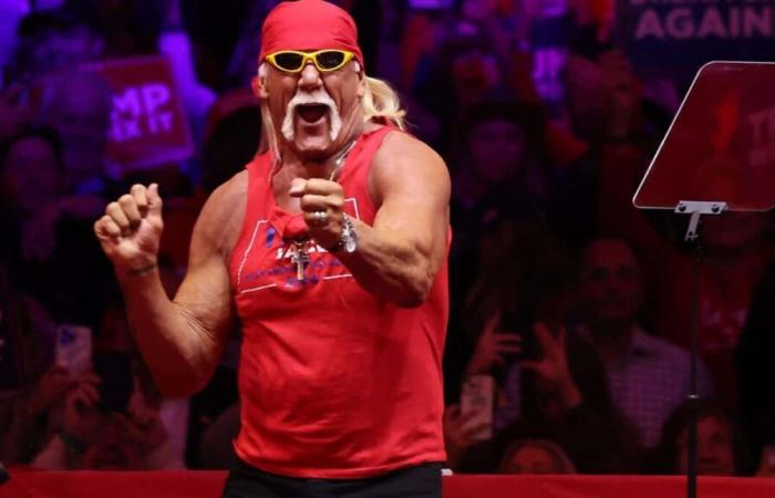 Hulk Hogan kehrt zu Monster-Buhrufen zurück