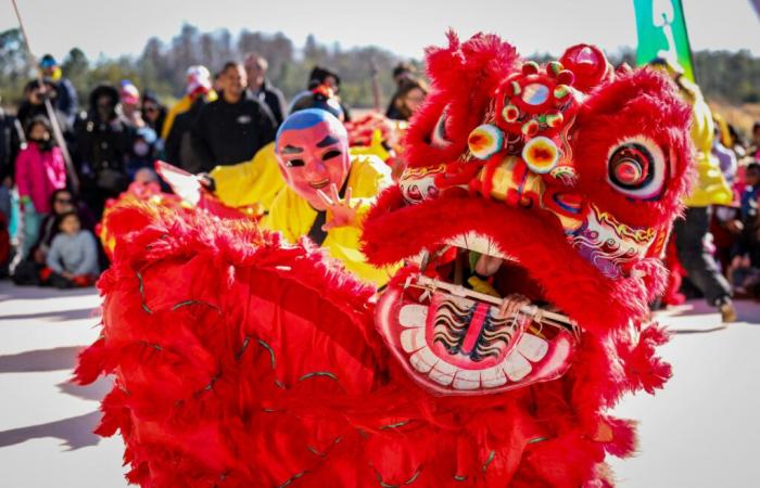 Chinesisches Neujahr – Mondjahr 2025 in Triel-sur-Seine, in Yvelines (78): Parade und Unterhaltung!