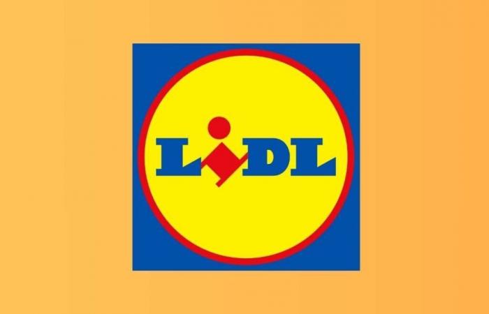 Mit diesen 5 DIY-Parkside-Angeboten zu Rekordpreisen gelingt Lidl ein Volltreffer