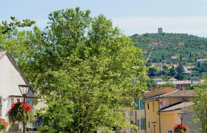 Welche Gemeinden in Alpes-de-Haute-Provence stechen hervor?