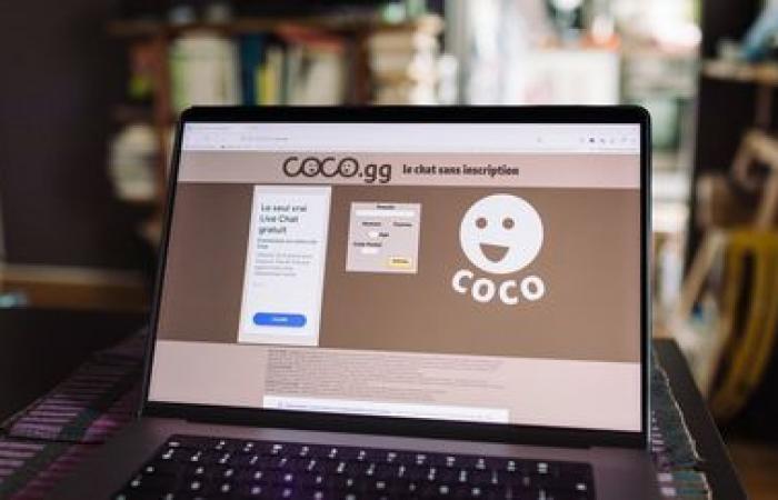 Gründer der umstrittenen Dating-Site Coco in Gewahrsam genommen