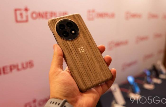 OnePlus 13 täuscht Qi2 mit diesen Hüllen und magnetischem Ladegerät vor