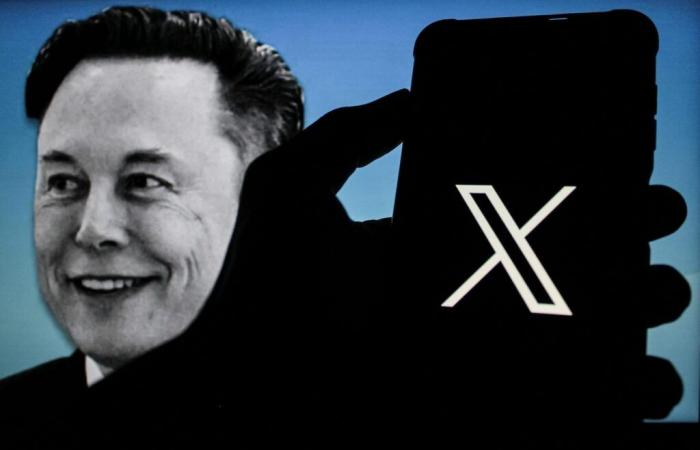 Zwischen Provokation und Desinformation die Geschichte eines verrückten Tages auf Elon Musks X-Profil