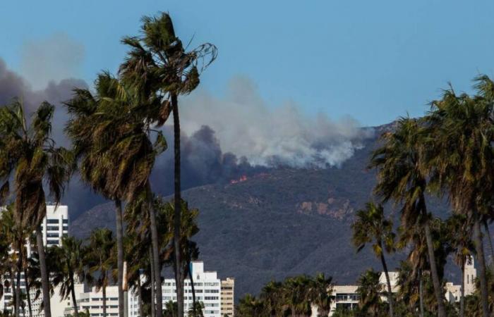 Pacific Palisades-Feuer in Los Angeles: Welche Sterne sind betroffen?