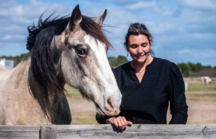 ein Buch, damit Reiter und Pferd eins werden