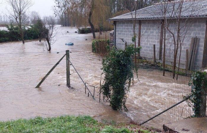 Beeindruckende Bilder der Epte-Überschwemmung in der Landschaft rund um Gournay-en-Bray