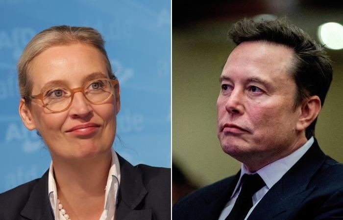 Elon Musk fordert die Deutschen im Zuge seines jüngsten Engagements in der Europapolitik dazu auf, für die AfD zu stimmen