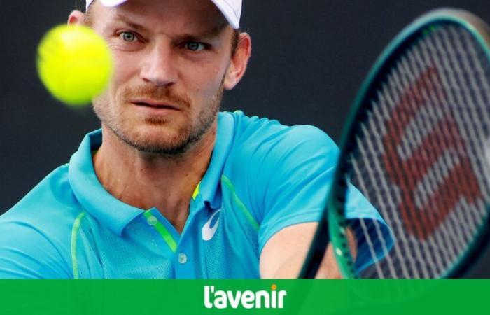 David Goffin findet Benjamin Bonzi, Zizou Bergs gegen Facundo Diaz Acosta in der ersten Runde, Gauthier Onclin im großen Los