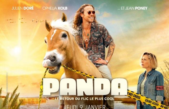 PANDA (Videorezension zur 2. Staffel) – The Cliffhanger & Co Chronicles