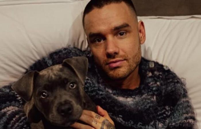 Die Todesursache von Liam Payne von One Direction wurde bestätigt