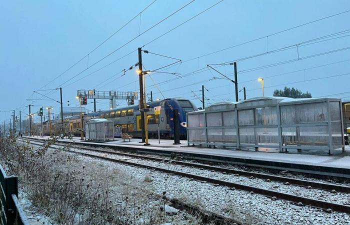 Der Schnee ist diesen Mittwoch im Norden angekommen! Hier sind die ersten Fotos der weißen Landschaften