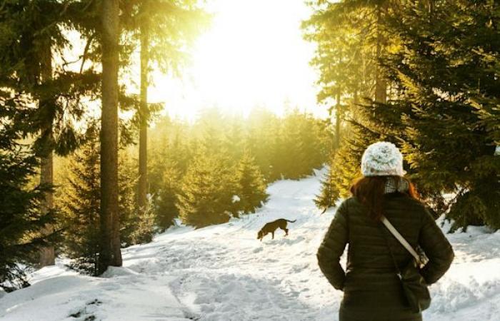 Erstes Wochenende mitten im Winter: das Beste zum Schluss