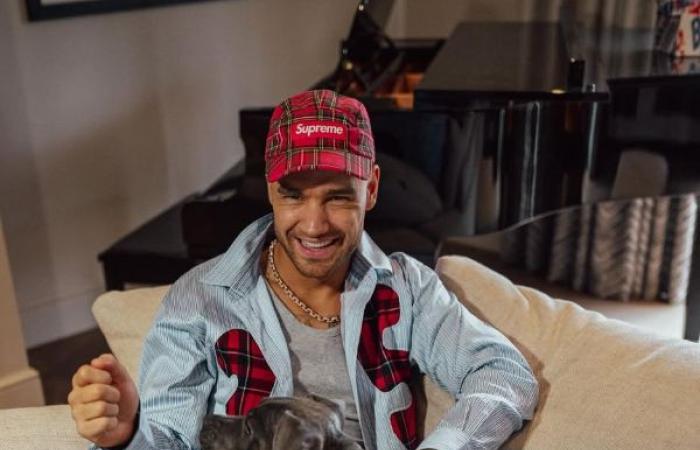 Die Todesursache von Liam Payne von One Direction wurde bestätigt